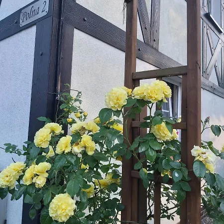 Nadmorskie Apartman *