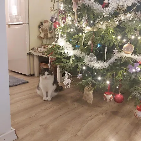 Nadmorskie Apartment