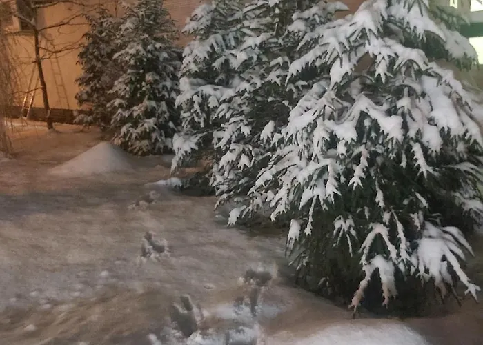 Apartament Nadmorskie *