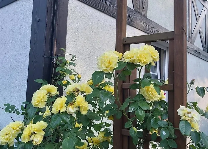 Nadmorskie Appartement *