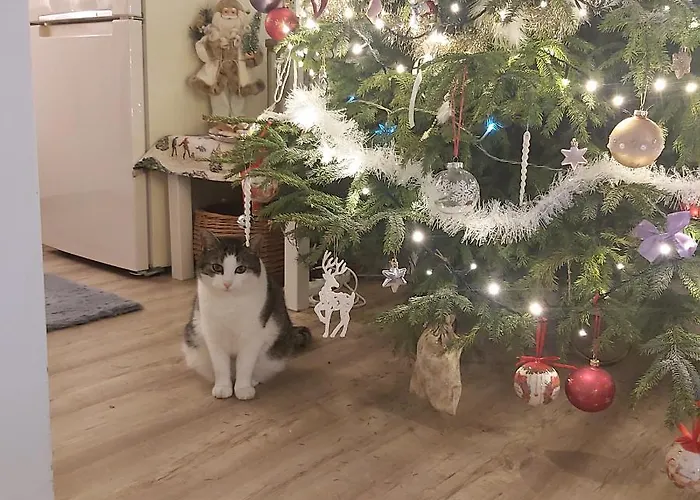 Nadmorskie Appartement